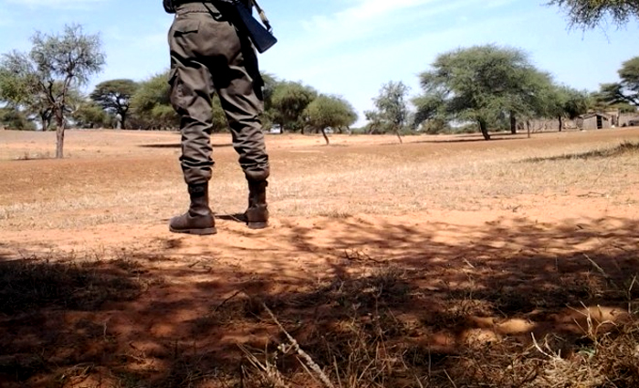 Senegal: un italiano dietro il progetto Senhuile