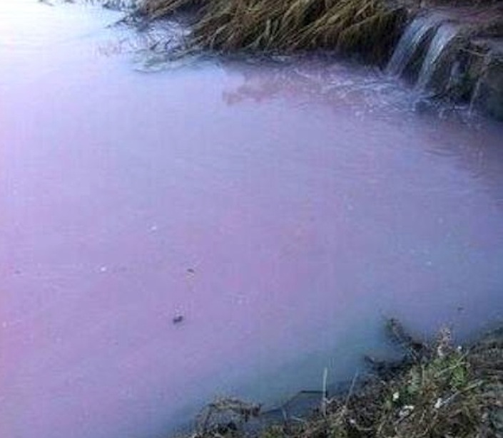 Il fiume Peglio per un determinato periodo si è colorato di rosa-viola.