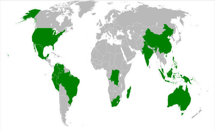 In verde il Gruppo dei B-17, i 17 paesi con maggiore megadiversità sul pianeta. Fonte pubblica, Internet