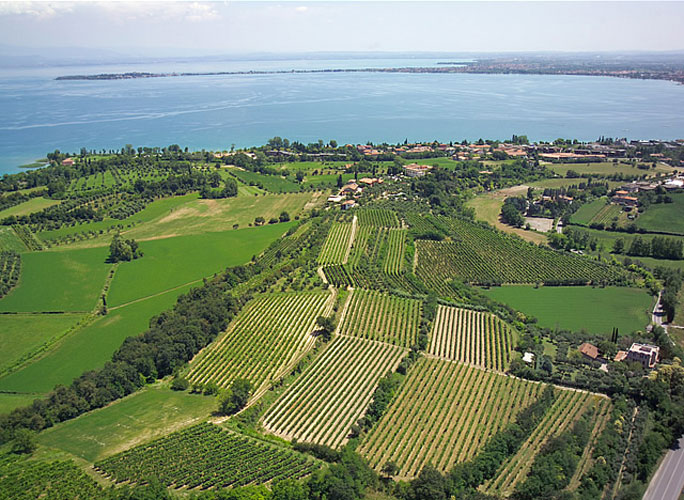 Oltre il 20% di vigne di Lugana sul Lago di Garda andranno perdute grazie alla TAV.