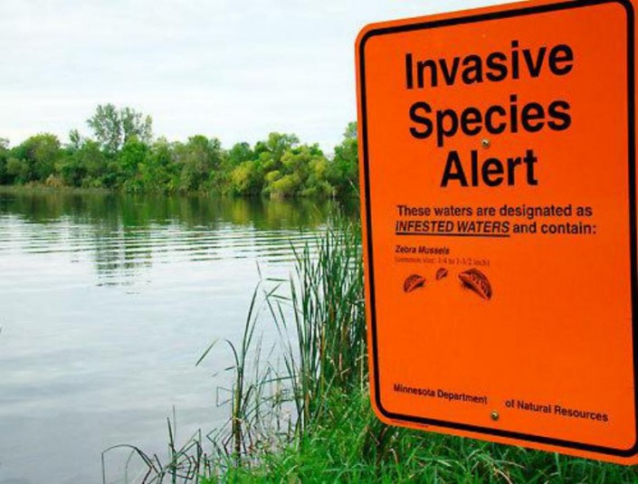 invasive-species-alert