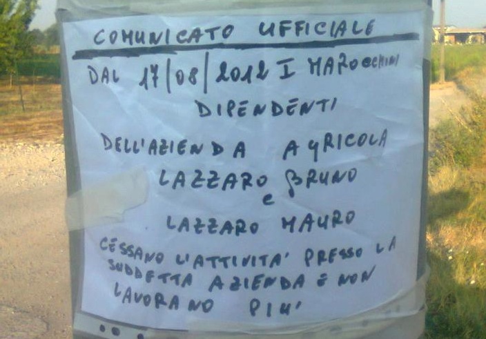 I quaranta lavoratori marocchini sono stati licenziati con questo foglio di carta attaccato con lo scotch a un albero.