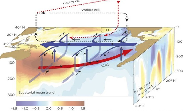 grafico pubblicato da Science