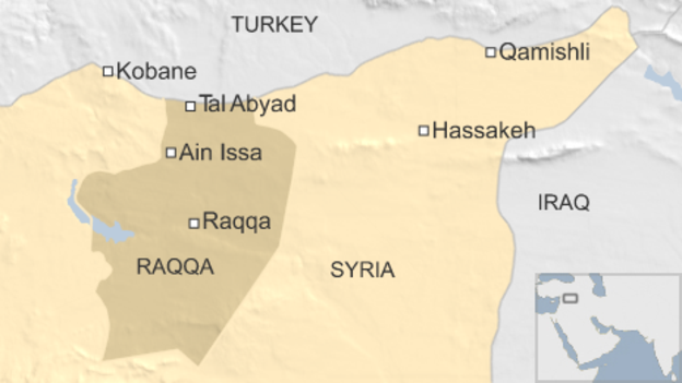 _83802052_syriaainissatalabyadraqqa4640615
