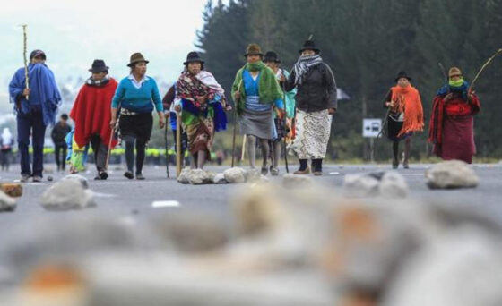  agosto 2015 indigeni Ecuador  protestano contro governo Correa