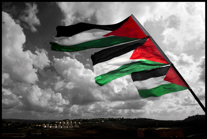 bandera-palestina