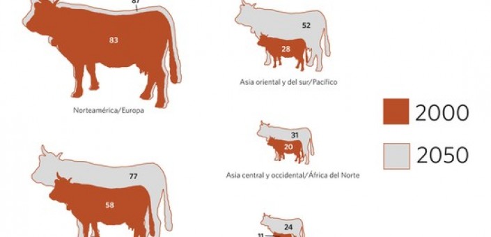 Consumo di carne per regioni mondiali